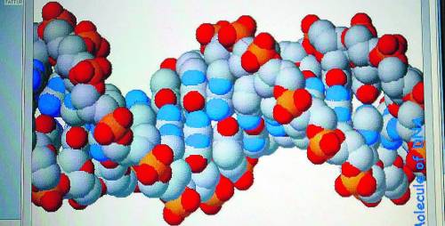 Basta al Far West del Dna L’Ocse approva i test sicuri