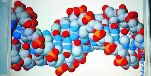 Basta al Far West del Dna LOcse approva i test sicuri