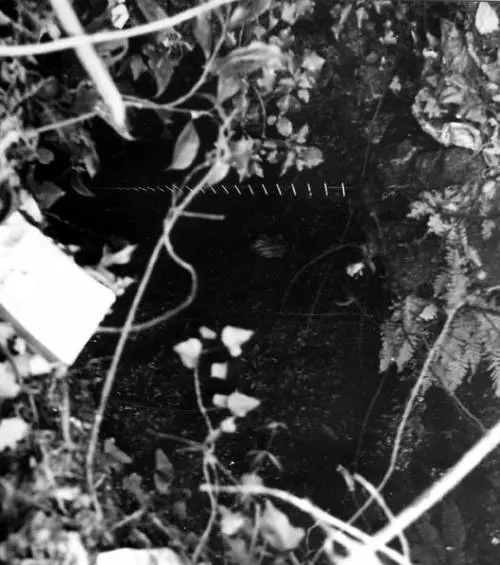 Dopo sessantanni si scava nelle foibe della Spezia