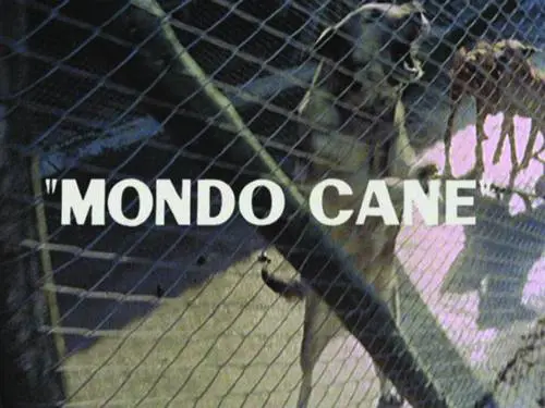 Laltra metà (crudele) del cinema