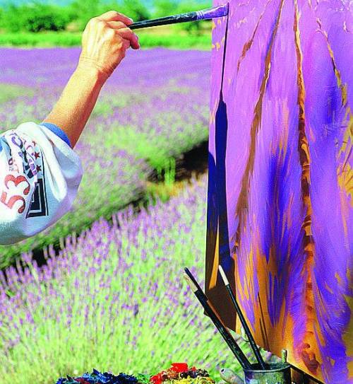 Con «Profilo d’Arte» protagonisti sono i nuovi talenti