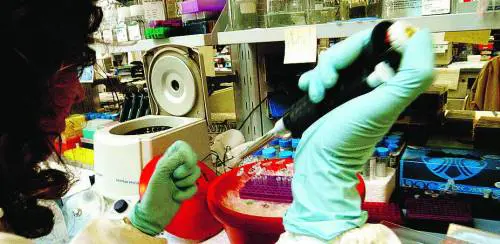 La «Settimana della salute» sarà un appuntamento fisso