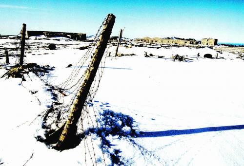 L’umanità divorata nell’isola dei cannibali