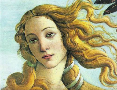 La bellezza è strabica ma ci vede benissimo