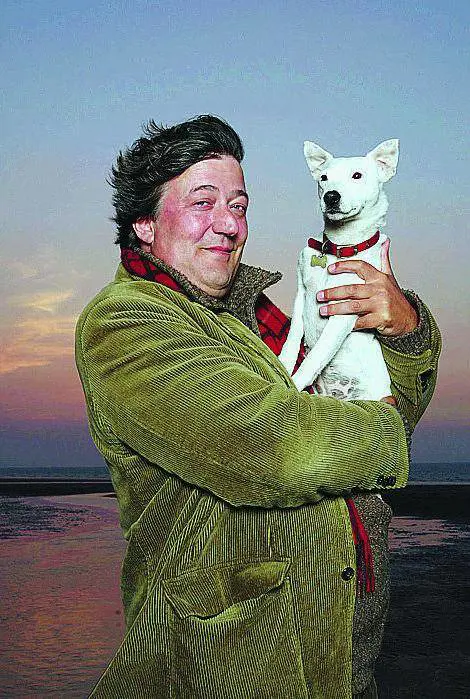 Attenzione, arriva Stephen Fry l’avvocato buono