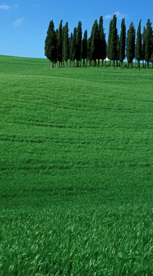 LIBRI sotto lombrellone