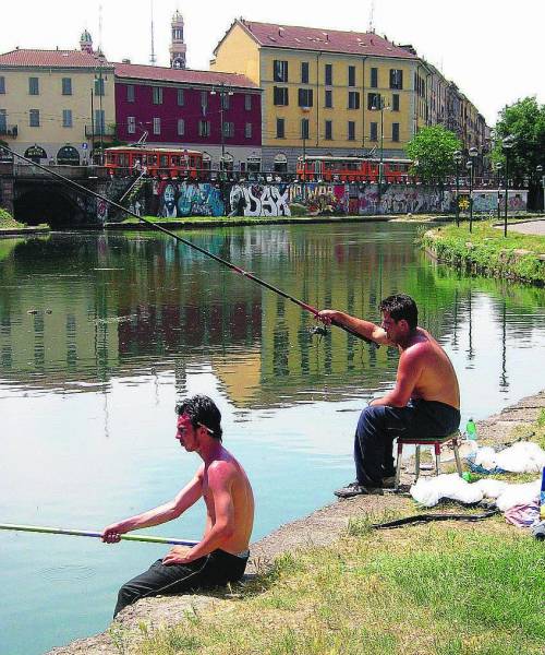 Trote, carpe e storioni A due passi da Milano il paradiso dei pescatori