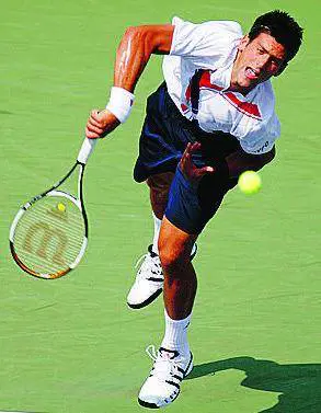 Djokovic liquida Ferrer e adesso punta Federer