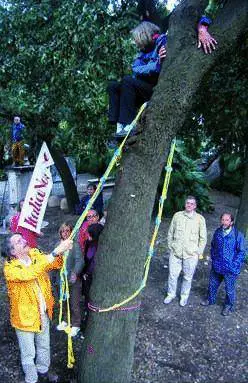 Acquasola, Regione in guerra con Tursi