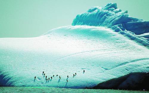 «Troppa disinformazione sul riscaldamento globale»