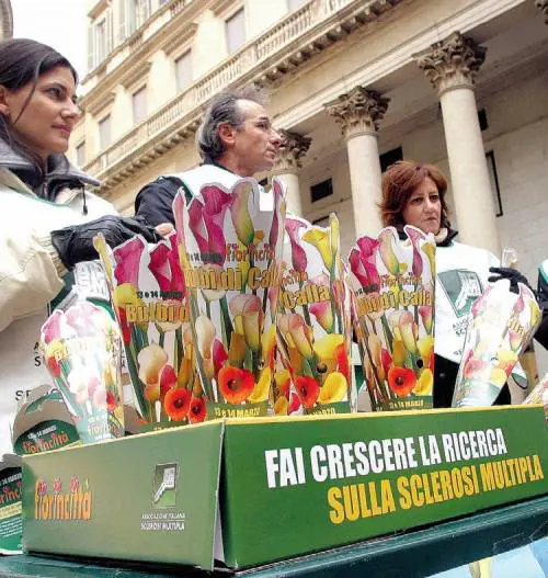 Il volontariato si ribella al governo: "Grottesco il taglio al 5 per mille"