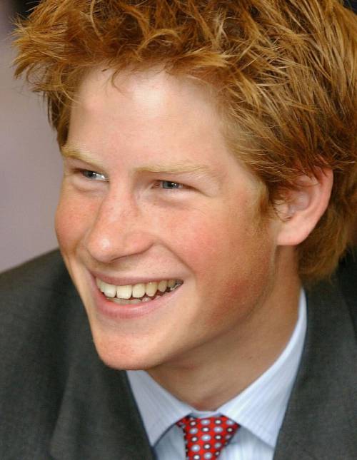 Ricatto a luci rosse a Corte. E subito tutti pensano a Harry