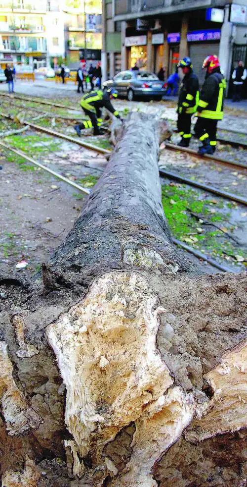 Vento, raffiche a 90 orari: incidenti, danni e tre feriti