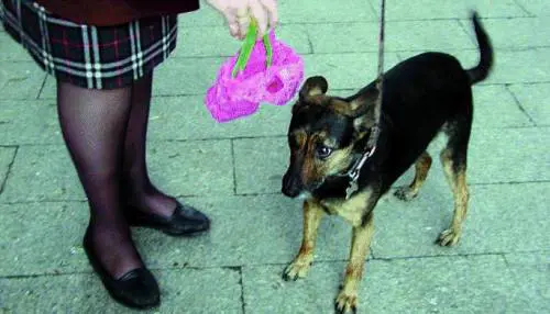 La pace nel centrosinistra dura un giorno