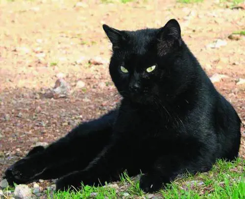 Solo parole per eliminare le liste dattesa