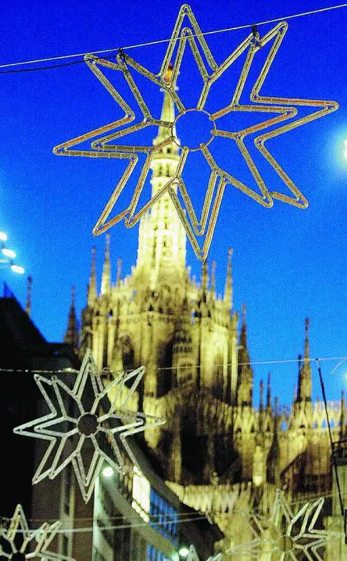 Cento alberi dautore per festeggiare il Natale