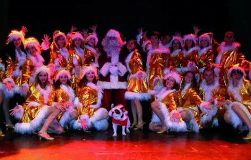 Lincanto del Natale nel Christmas Show