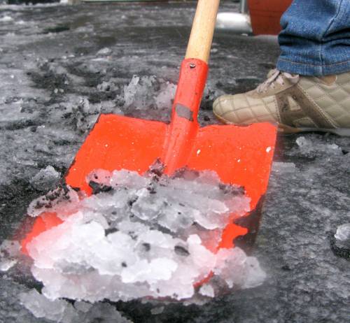 La Vincenzi cerca meteorologi