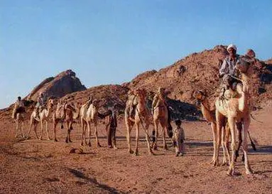 Egitto, morte 2 turiste italiane in un incidente