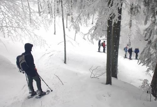 Neve "slow" sull’Appennino: passeggiate con le ciaspole e lungo i sentieri dei lupi