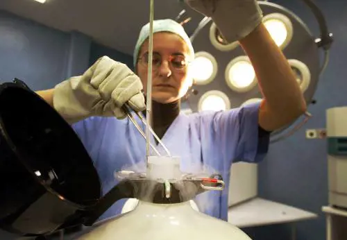 Procreazione, il Tar del Lazio  
boccia le linee guida della legge 40