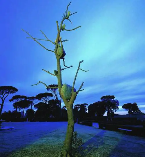 Penone fa sposare larte con larchitettura