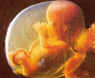 Gb, creati embrioni umani 
con tre genitori diversi