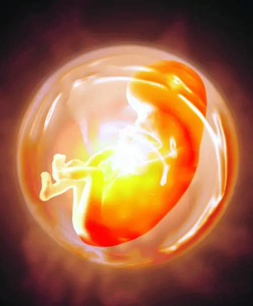 Choc in laboratorio,  creati in provetta figli con tre genitori: è polemica