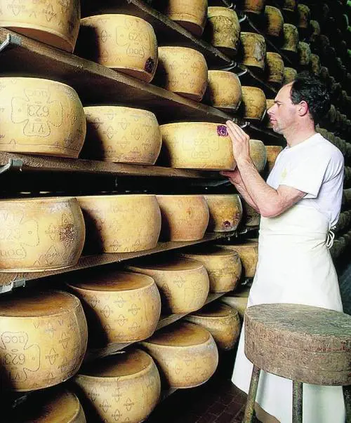 I formaggi lombardi fanno schiattare di invidia i francesi