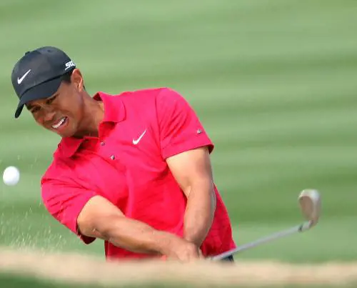 Tiger, il "cannibale" del green
