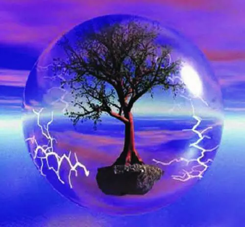 I maghi evitano il malocchio, non le condanne