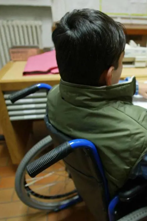 I disabili battono cassa Lassessore Costa: «Sono delinquenti»