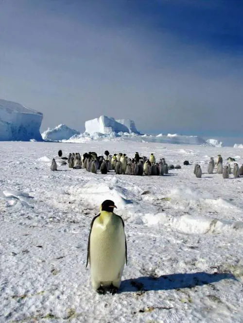 GLI ECO-SPORCACCIONI