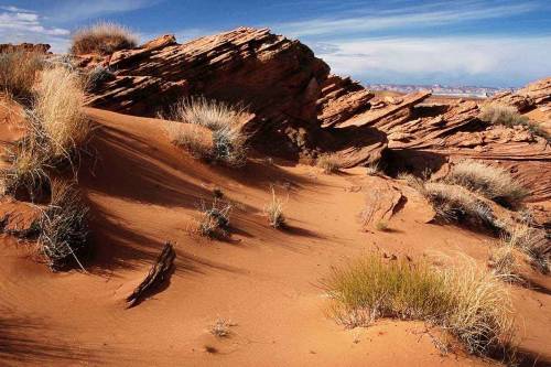 I cambiamenti climatici 
allarmano gli Stati Uniti