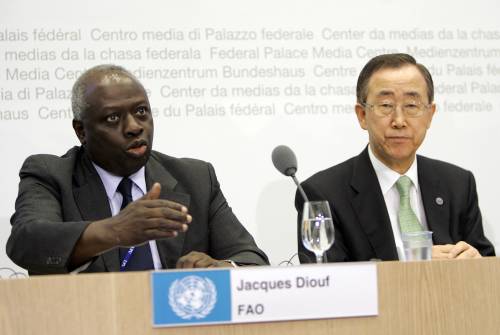La Banca mondiale: 
"Per grano e riso 
i prezzi restano alti"