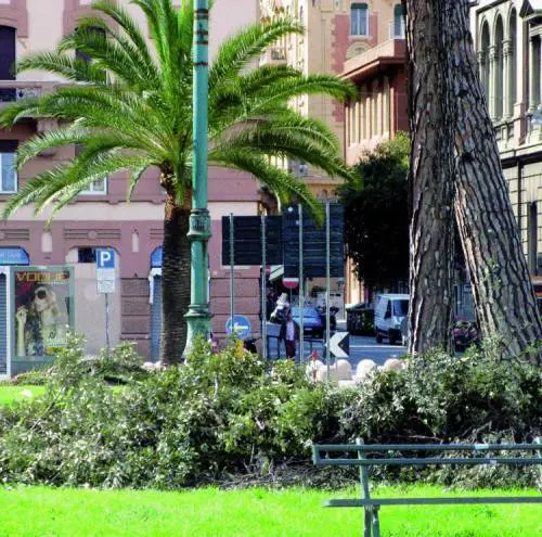 Perché non realizziamo  giardini pensili antismog?