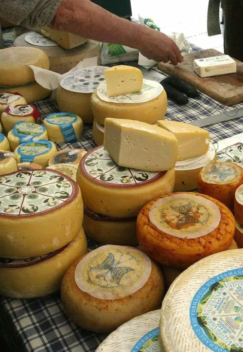 In crociera con Columbro simpara a mangiare «bio»