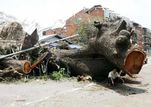 Birmania: 22mila i morti, 41mila i dispersi
