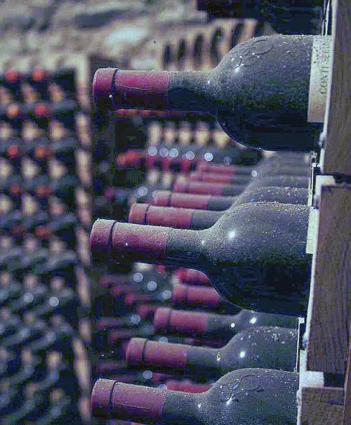 Non solo pioggia: sarà la domenica di Cantine Aperte