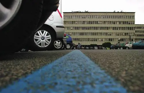 Alemanno «cancella» le strisce blu