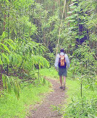 Il riciclo fai-da-te vale 15 euro allanno