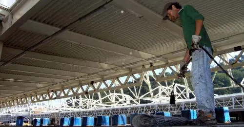 Il mercato della frutta che non matura mai