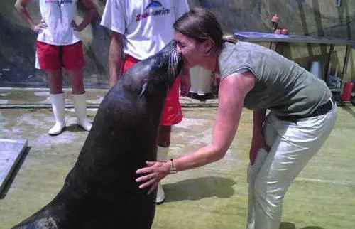 Addestratore «per caso» Lesperienza di Angelo