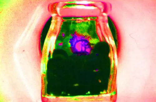 Arriva la nuova droga: 
si "scarica" da internet