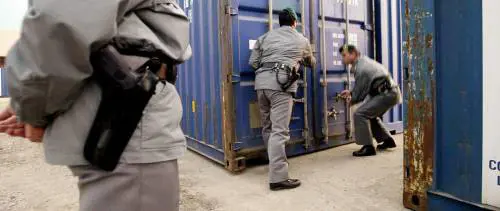 Il gatto e la volpe «svuotavano» i container