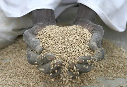 Barroso: "Fondo da un miliardo per fermare la fame". Ma poi la decisione è rinviata