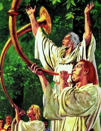 Festa in costume là dove cera il tempio dei Druidi