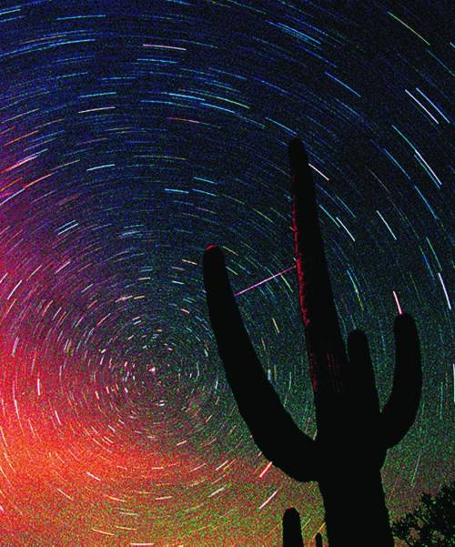 Giù le stelle, su i calici La notte di San Lorenzo fra sogni, gola e gusto