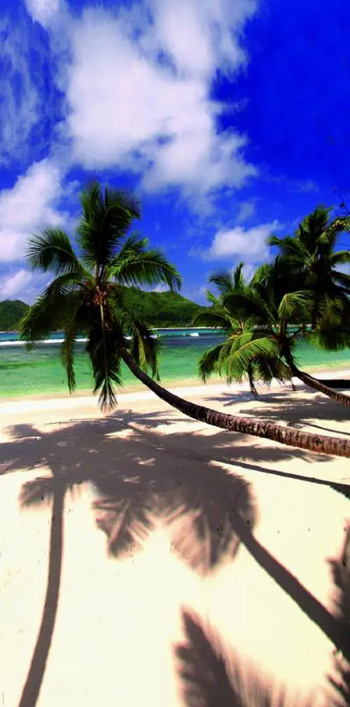 Lalbergatore genovese che libera gli innocenti