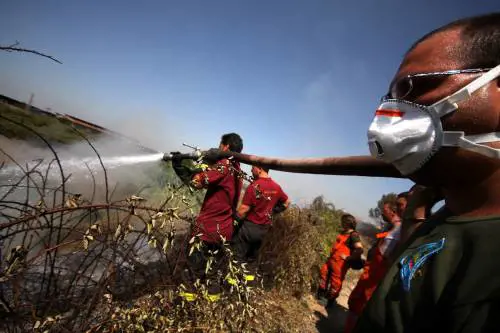 Sud Italia devastato 
dalle fiamme 
Un morto a Enna